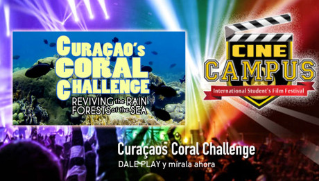 Curacaos Coral Challenge