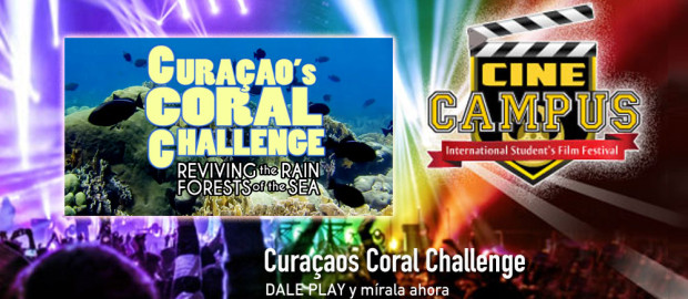Curacaos Coral Challenge