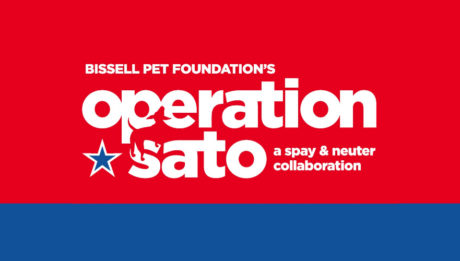Operation Sato