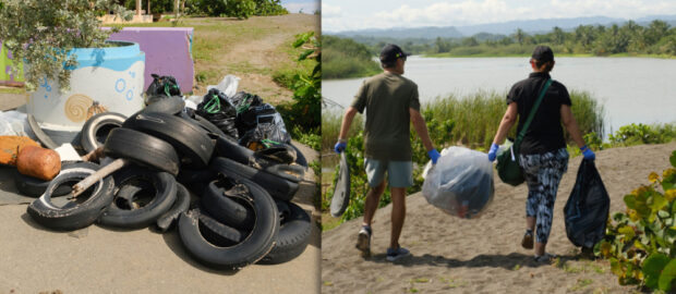 Kia limpieza ambiental con Scuba Dogs Society